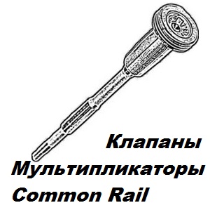 Клапаны Мультипликаторы Common Rail 1.jpg